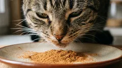 5 zapachów, które koty uwielbiają, i kolejne 5, których nie znoszą